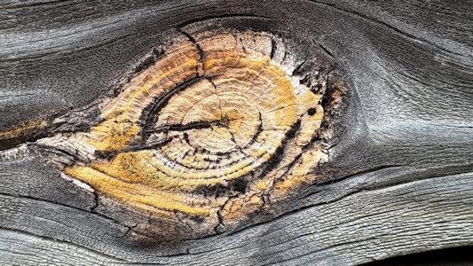 State Park Image